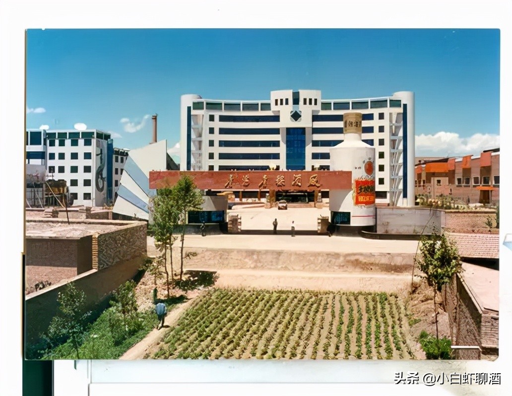 青海最好喝的五种酒,青海比较畅销的酒