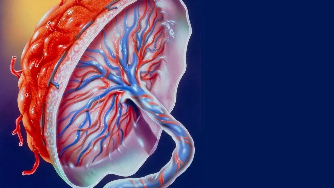 生孩子的时候医生会用手去掏吗,顺产有医生伸手掏孩子的吗