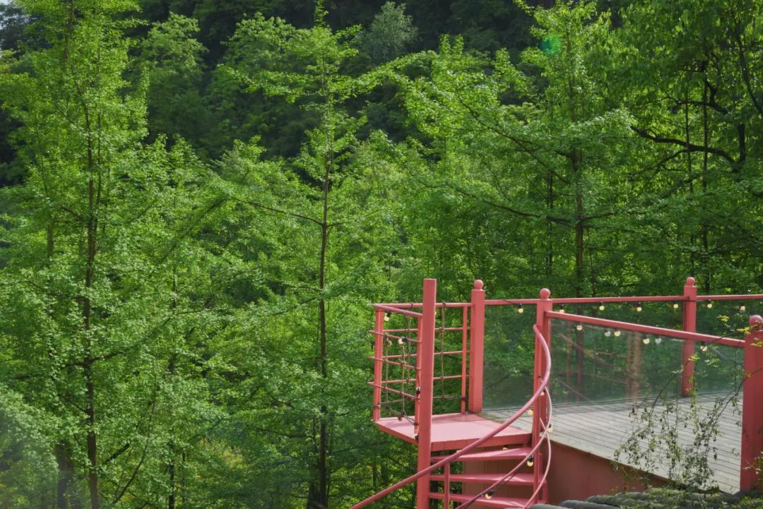 溪溪家儿时山谷民宿,溪溪家独栋院子