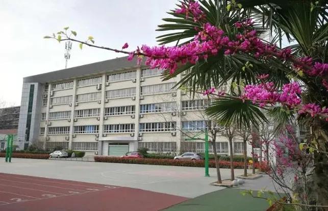绚丽多彩的学校,西安市三十一中学怎么样
