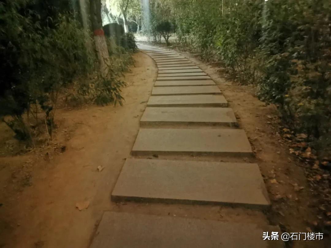 新华楼盘,最好的新华楼盘