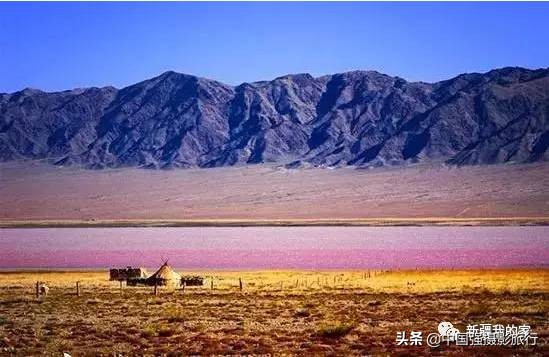 又一封辞职信火了，*疆新**人已传疯