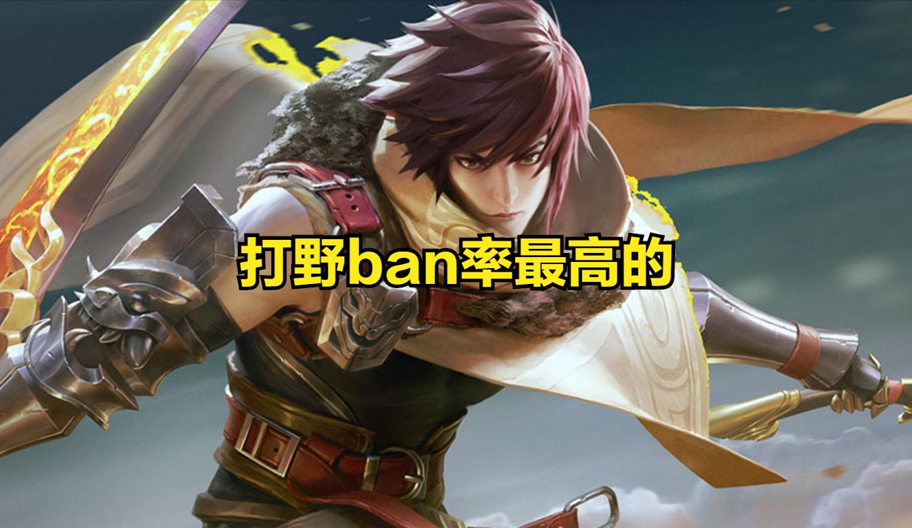 王者荣耀新手手残打野英雄推荐,王者新手打野适合什么英雄