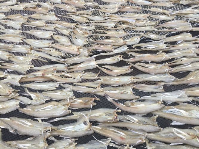 深圳自驾去外伶仃岛旅游攻略,深圳蛇口坐船去外伶仃岛