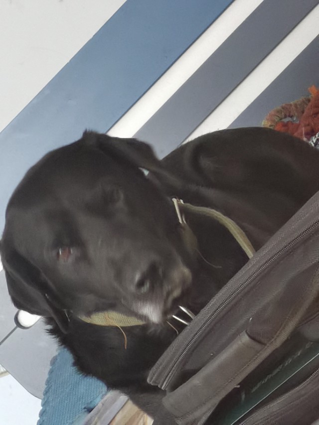 解禁国语版,解禁wlan