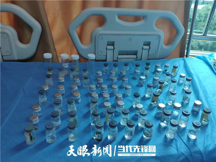 6岁小孩不小心吞了钉子怎么办,7岁儿童误吞铁珠子