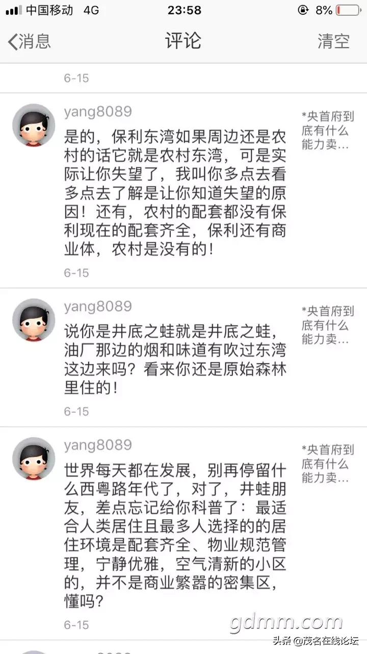 茂名有多少大型综合体,茂名好心湖畔田园综合体