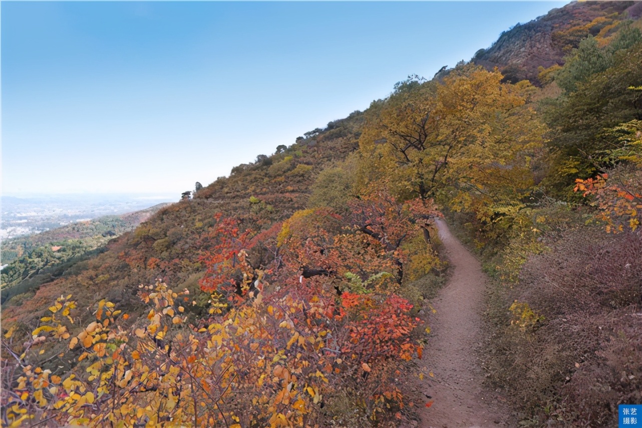 北京香山红叶林观看最佳月份,北京香山红叶最佳观赏期是在几月