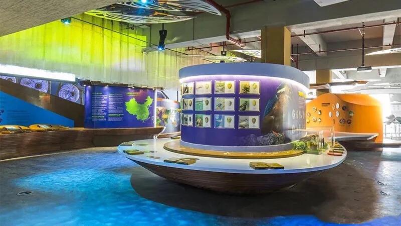 长沙洋湖读哪个学校,长沙洋湖的教学配套