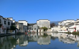 安徽哪个专家最好,安徽分析