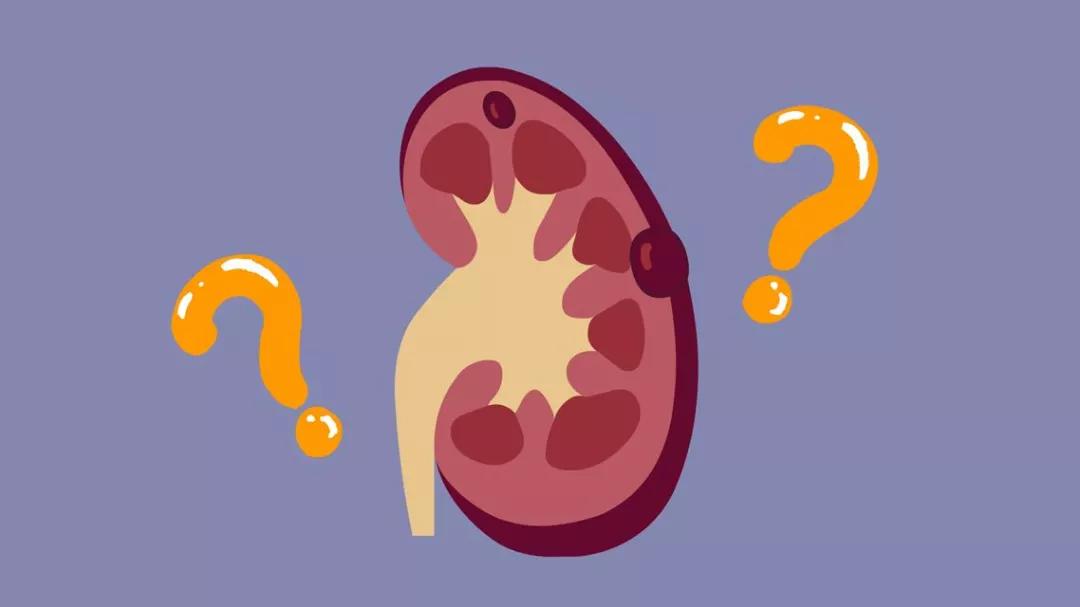 结节囊肿息肉肌瘤有什么区别,囊肿息肉结节能自己消除吗