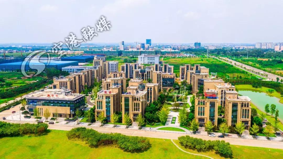 双流区主导产业,双流经济支柱产业