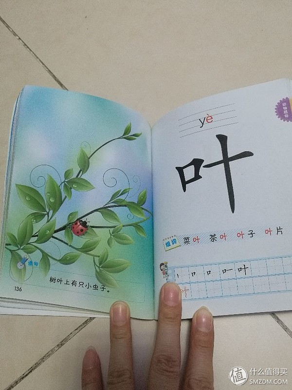幼儿早教启蒙3-6岁识字方法,幼儿早教启蒙学习教育视频