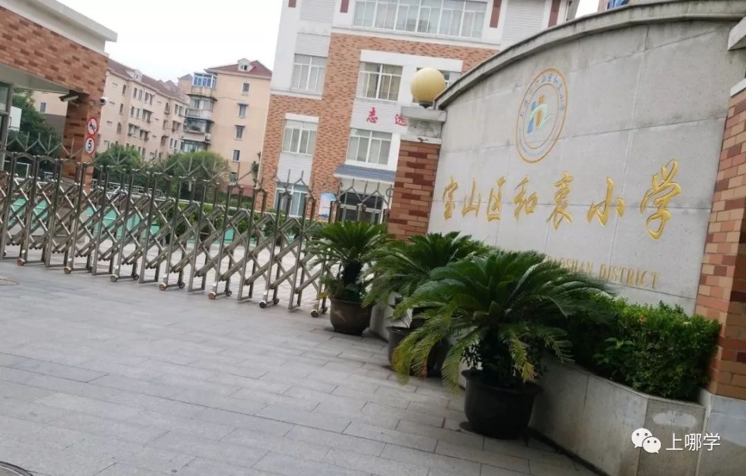 上海宝山区小学排名前十,上海宝山区小学排名大全