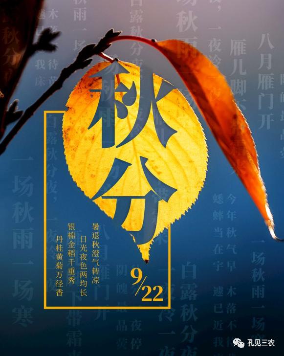 今天是秋分上午好问候图片,今天是秋分节的感悟