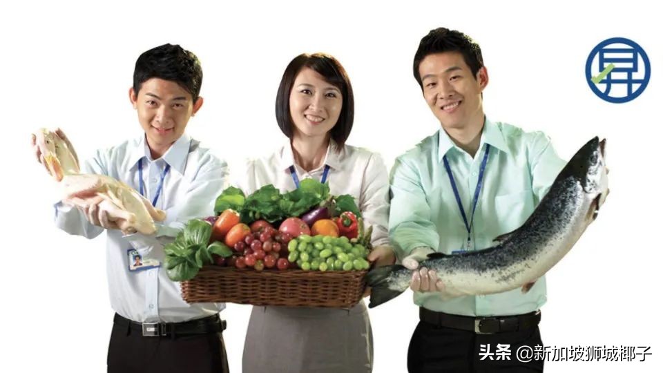 新加坡计算机行业年终奖,新加坡行业薪资排行榜