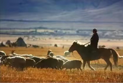 王琪春晚独唱，据说是洋仔和亚男的功劳？他最应该感谢谁？