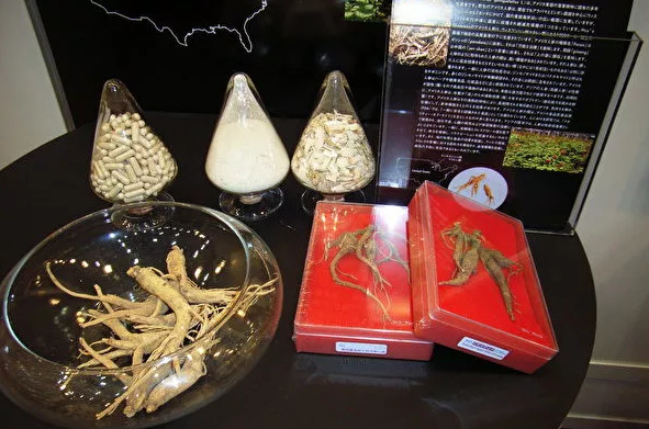 回国带国内禁止的东西怎么办,回国过海关什么东西不能带