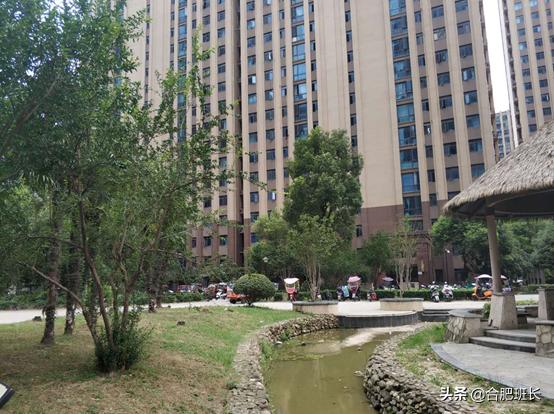 合肥滨湖学区房最新价格,合肥滨湖cbd学区房