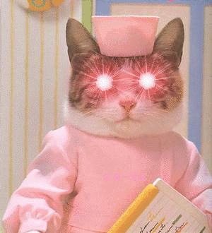 @静安人看完这波“剧透”，“逛展神器”请提前收好！#进博的热度上海的温度#