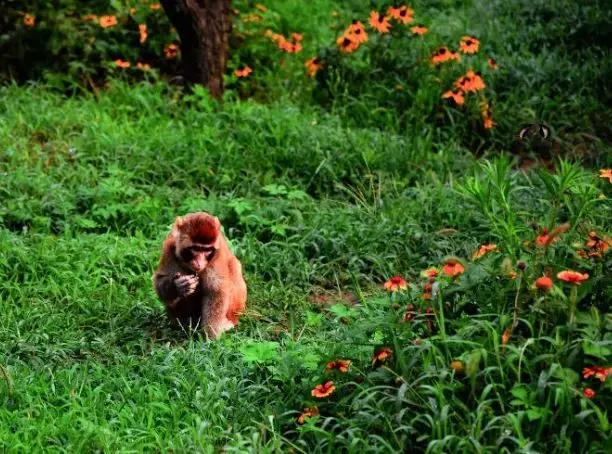 博山区年审,博山年审