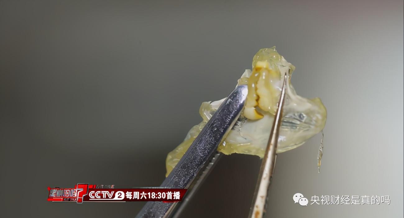 胃里长牙齿、祖先“四不像”，螃蟹的这些小秘密猜你不知道