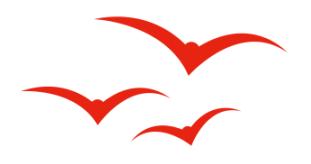 深圳南山区比较好的公立小学,深圳小学龙岗学校排行