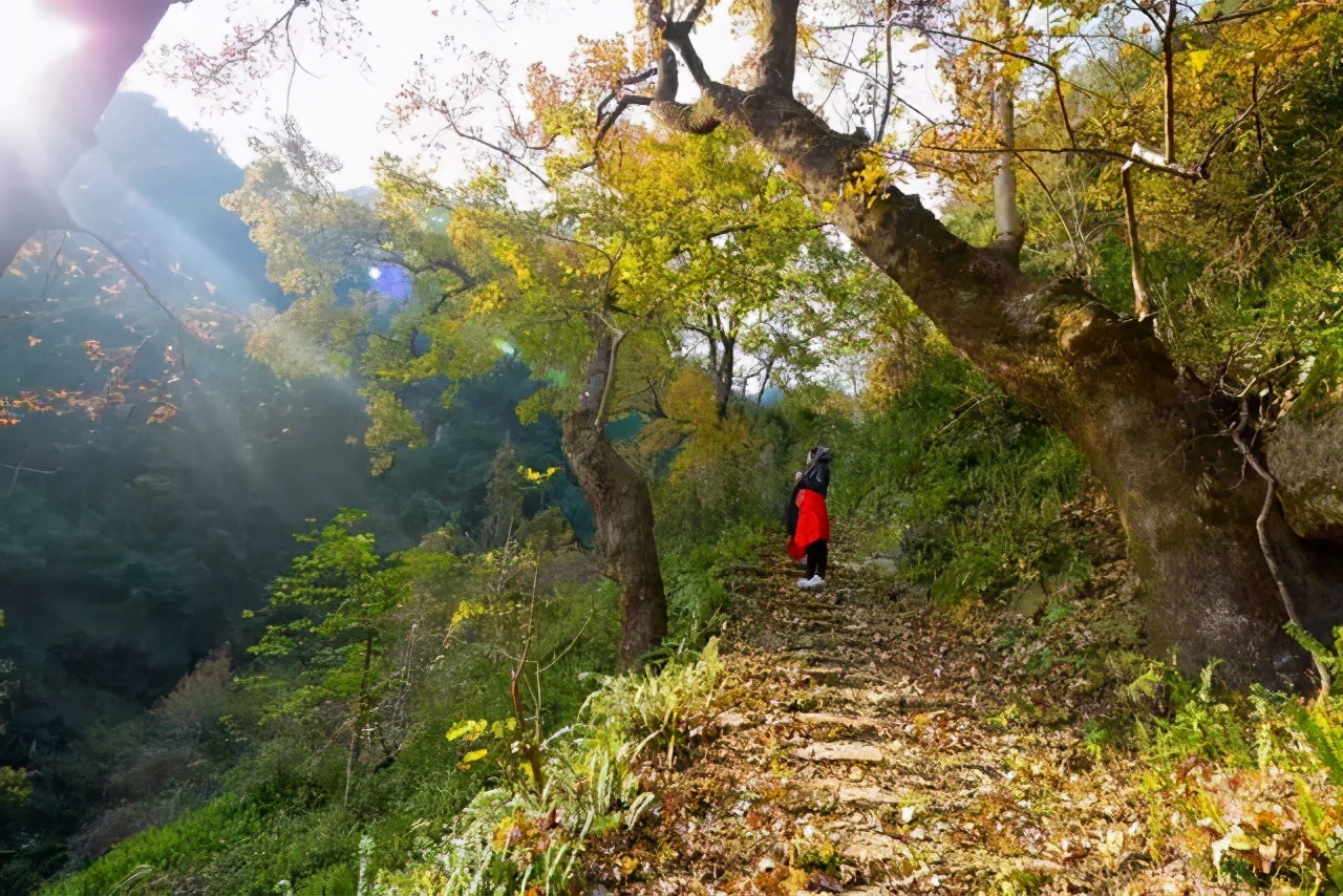 平阳最值得一去的地方,平阳一日游最佳去处青街