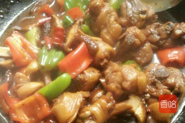 火遍全国的黄焖鸡米饭，终于学到最正宗的做法了，要学的速来！