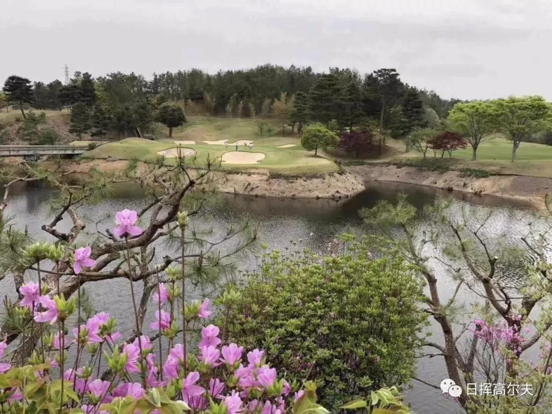 绅士运动有哪些,打高尔夫球基础知识