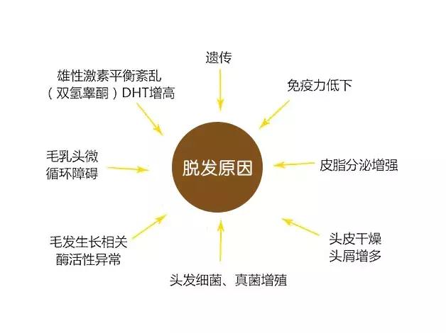 97年青柠酱｜头发太少，颜值高不了！教你护发防脱发的有效方法！