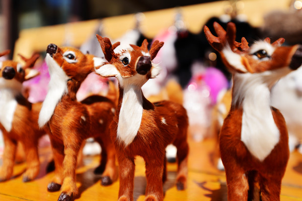 亚洲第一湿地在哪里,内蒙亚洲第一湿地