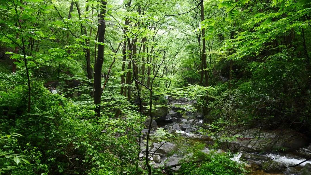 一起爬山吗?西安这些山不仅野,还不要钱~