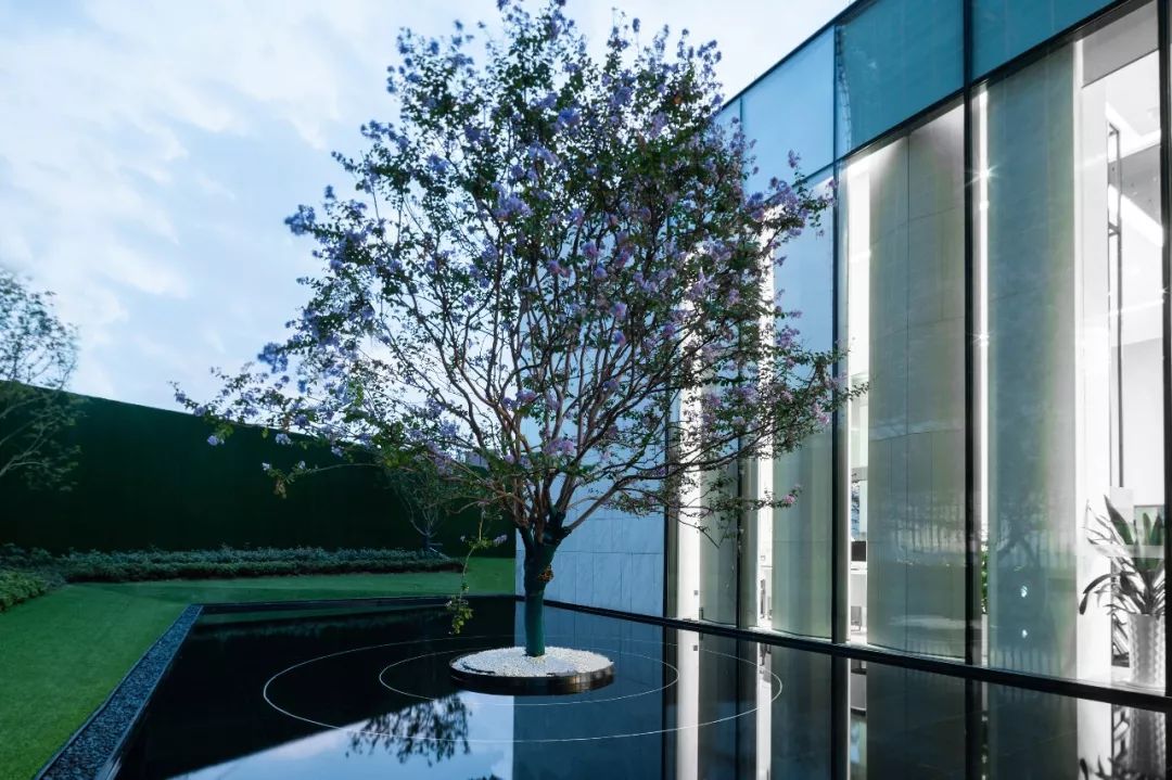 杭州绿都金科和宁文华府洋房出租,杭州绿都金科和文华府