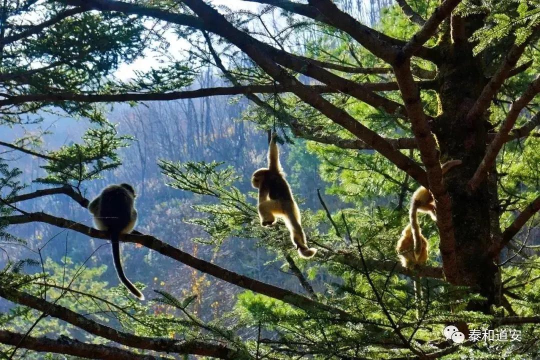 压强听课反思,液体的压强听课记录