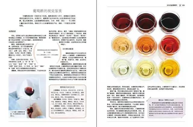 当别人热烈的谈论葡萄酒，你却不知道说些什么？