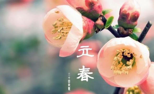 一年两个春带毛贵如金指的是什么,一年两个春带毛贵如金有道理吗