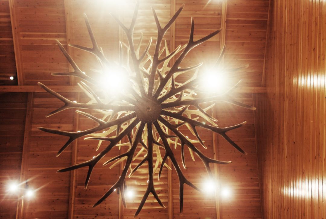 白云山景区民宿一家五口,白云山森林小屋民宿