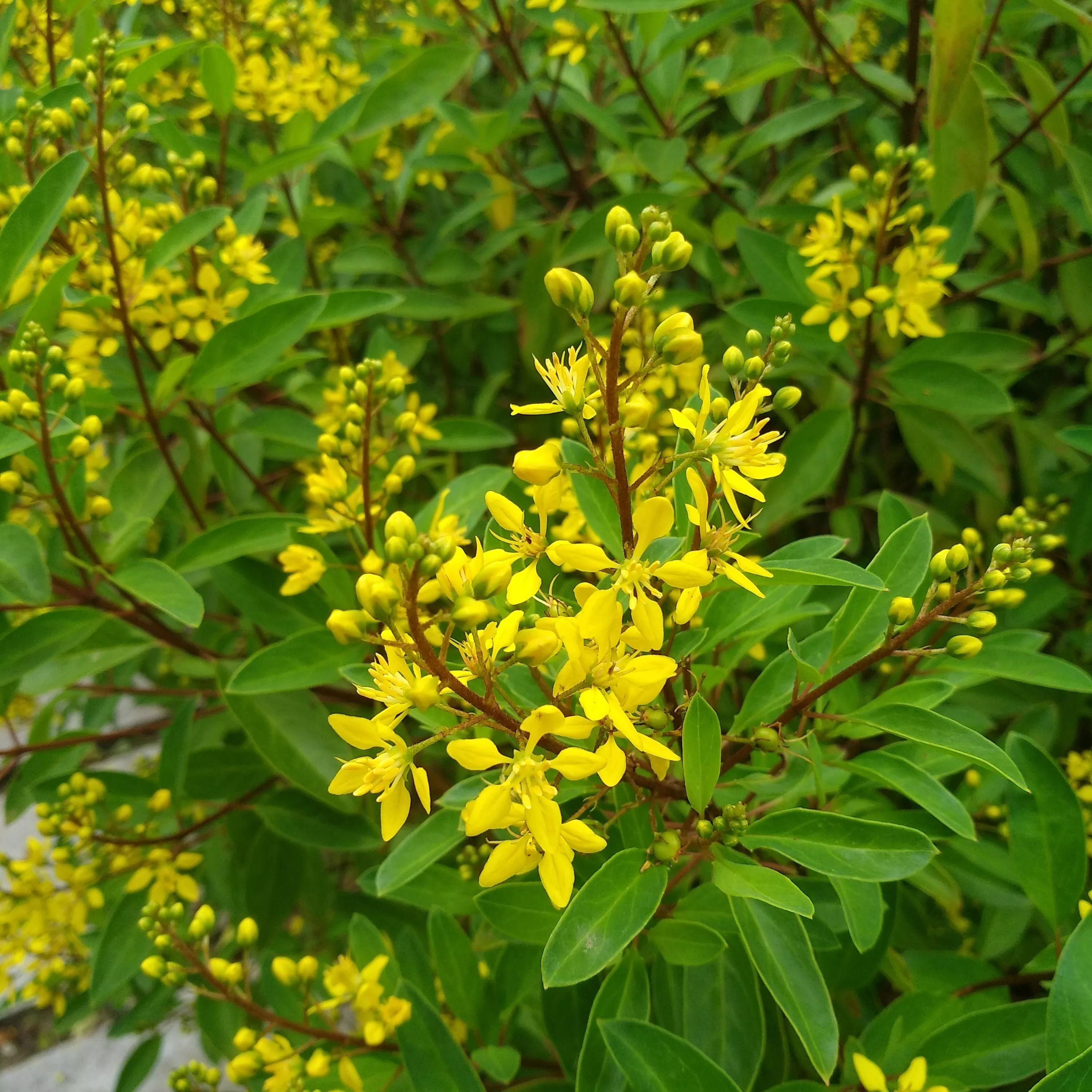高考后想学临床医学,高考后想学中医