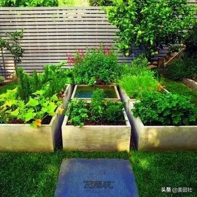 怎么样能纸上种菜,在家种菜可以做什么