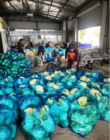 抗击疫情保供应,抗击疫情携手助农