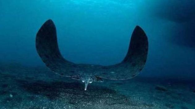 海底1万米处压力是多少,海底一千米压强有多大