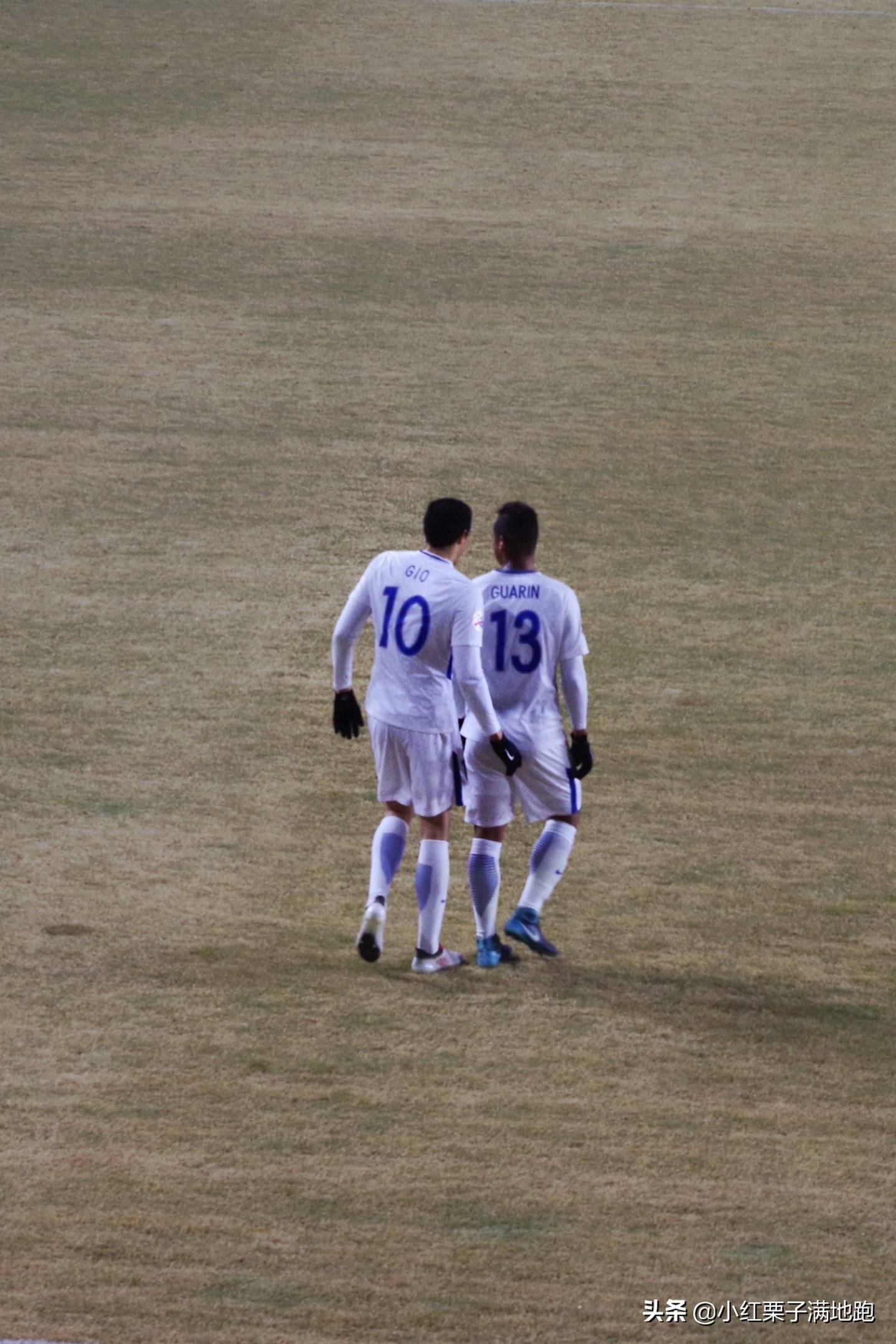 疫散花开张家界,疫散花开欢迎归来