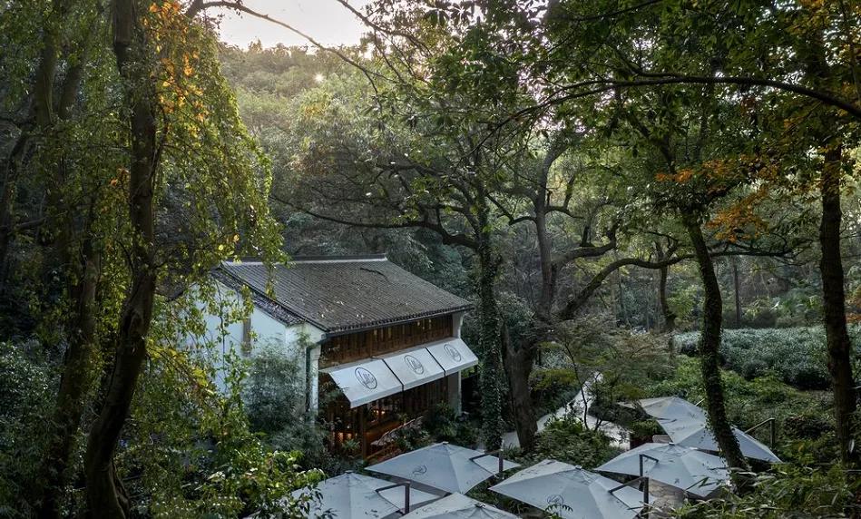 江浙沪8大五星级度假酒店任选,杭州度假高端酒店推荐