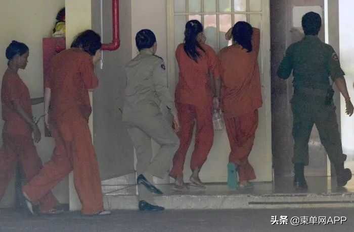 女星被曝海外代孕生子,女明星国外代孕事件