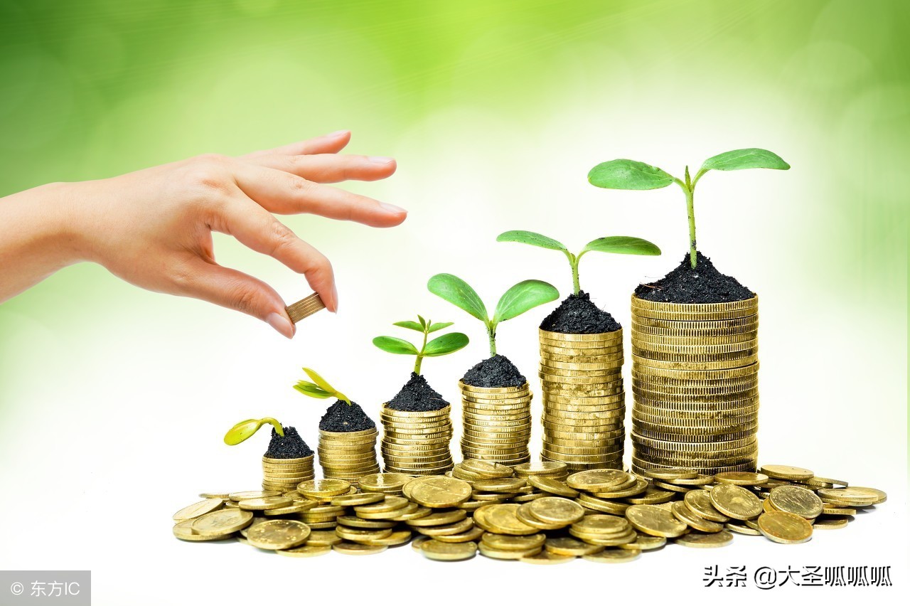 利润吓人的冷门生意投资,投资小利润大的生意