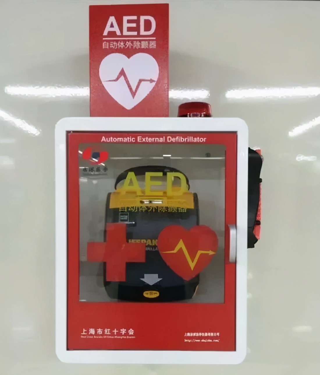 埃里克森心脏骤停抢救解析,埃里克森心脏骤停事件在哪个队