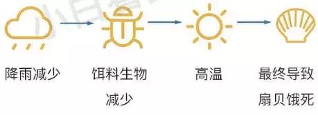 自古A股多奇葩公告还能这么写？为熊市行情添加的一道风景线