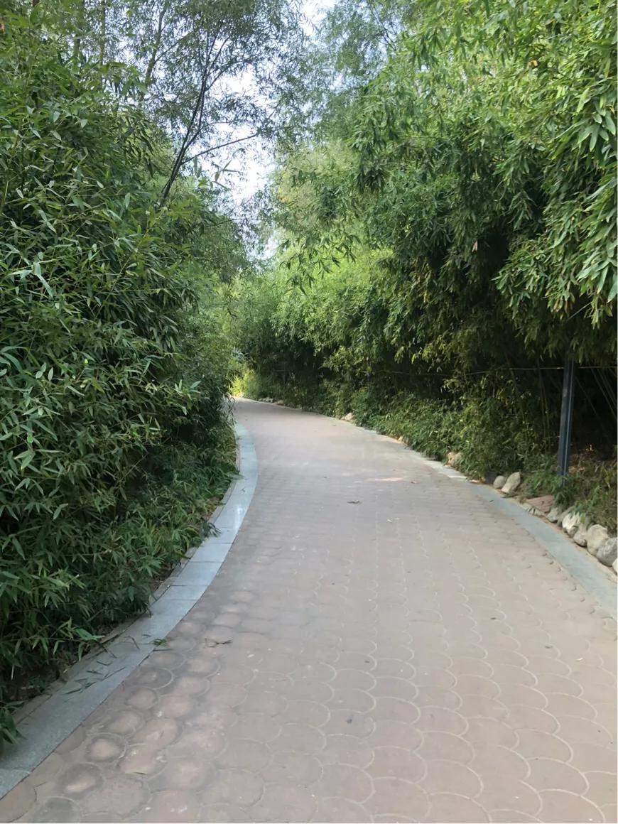 郑州市莲花公园,郑州池南路莲花公园