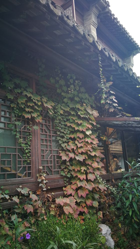 夫子庙和老门东靠得近吗,夫子庙与老门东之间距离